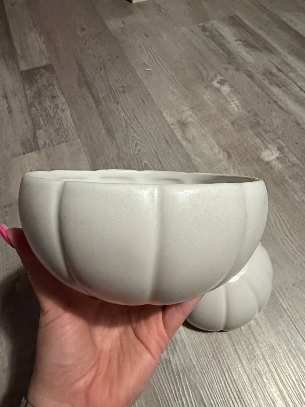 Pottery barn pumpkin bowl set of two